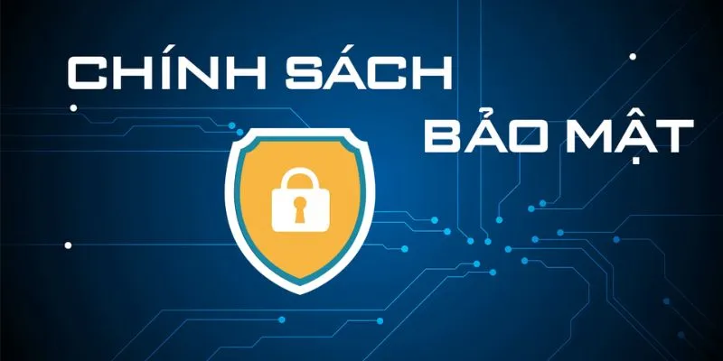 Tổng quát nhanh thông tin về chính sách bảo mật